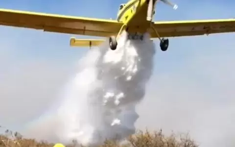 Diputado pide ayuda a bomberos brasile�os