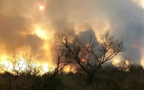 Terrible panorama por incendios forestales en San Pedro