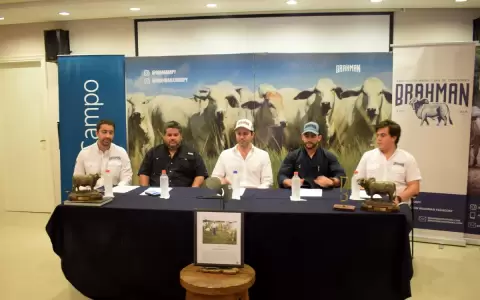 Expo Ganader�a: Brahman con expectativa de grandes negocios