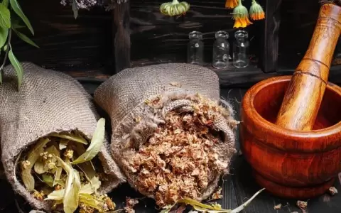 Cosm�tica natural: el poder de las esencias