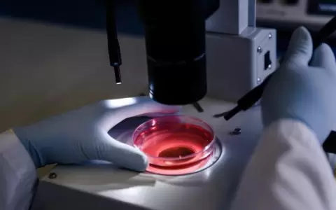FUNCA realiza campa�a educativa sobre el c�ncer de la sangre