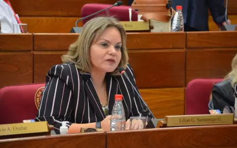 �Alliana es presidente de la ANR, pero solo act�a como titular de Honor Colorado�, seg�n Lilian Samaniego