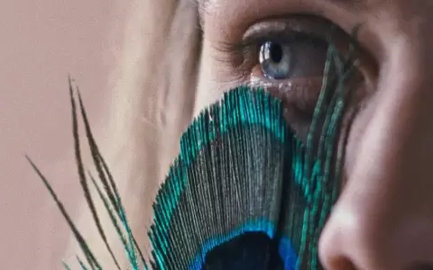 Comienza la primera edici�n del Festival de Cine ASUFICC