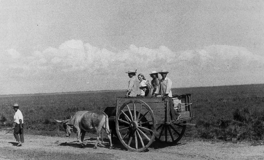 Reconociendo el camino de 