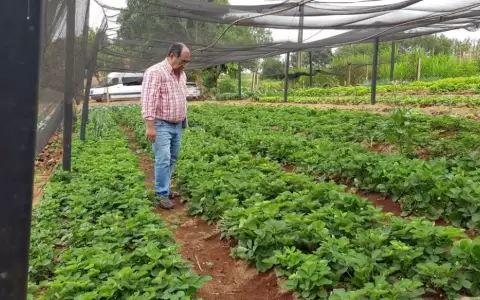 Invitan a candidatos municipales a acompa�ar propuestas de organizaciones agroecol�gicas