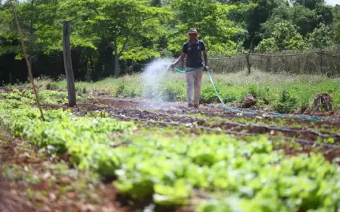 La producci�n agr�cola sustentable se convierte en escudo contra la deforestaci�n
