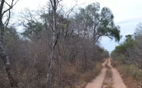 Abren camino ilegal en zona de protecci�n del Parque Nacional Defensores del Chaco