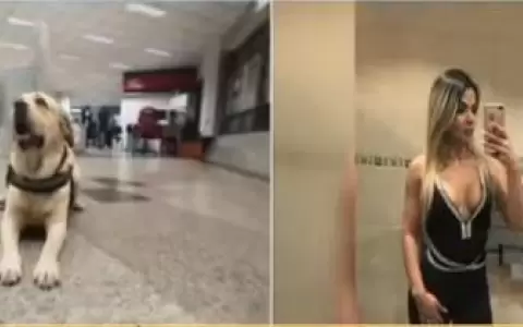 Imputan a �narcoentrenadora� detenida en aeropuerto