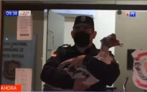 Polic�a abraz� al pato que rescat� de unos ladrones y enterneci� las redes sociales