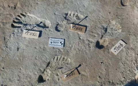 El hallazgo que indica que Am�rica se pobl� miles de a�os antes de lo que se pensaba