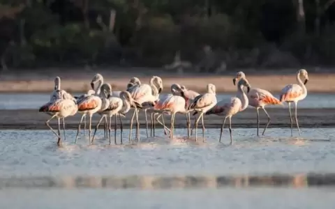 Paraguay celebra D�a Mundial del Turismo con escenario prometedor