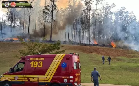 Empresario brasile�o y su familia mueren en accidente de avioneta en Brasil