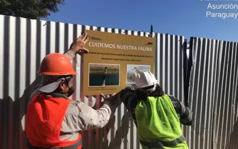 Obras de edificio en zona del Puerto prev� cuidados al medioambiente, aseguran