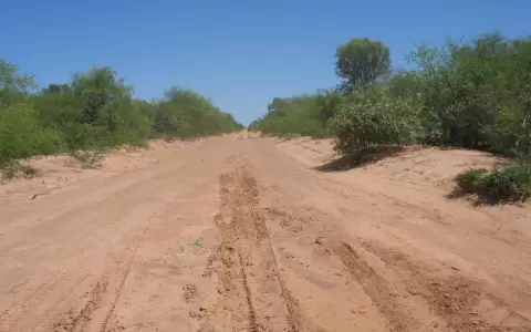 Comunidades del Chaco claman atenci�n estatal por extrema sequ�a