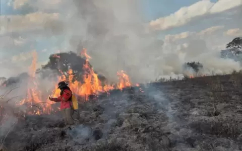 Registran 243 puntos de calor en todo el pa�s, 50 de ellos est�n en �reas protegidas