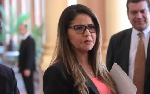 Ola de delincuencia: Hay que dejar �soluciones parche� y atacar problema de fondo, seg�n ministra
