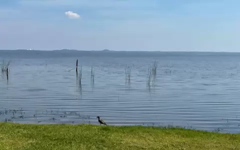�Volvi� el lago azul de Ypacara�!: "Alcanzamos resultados nunca antes vistos�, dice Renato M�as