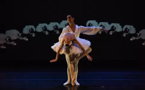 Espect�culo "Impulsa" re�ne a cuatro elencos de danza profesional