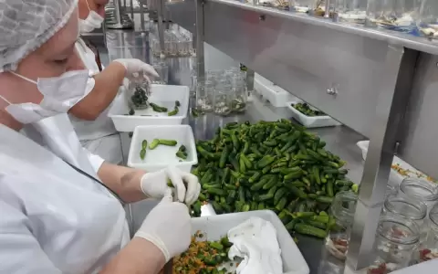 Chaco productivo: una opci�n de Turismo sostenible en Paraguay