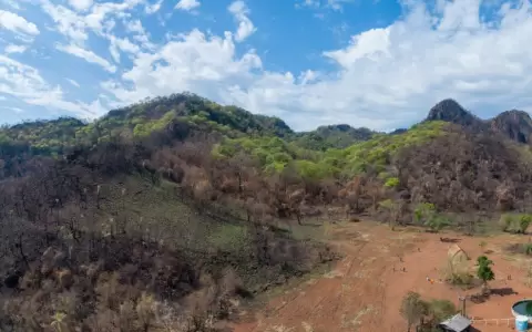 Invasi�n ecol�gica pone en riesgo las Tierras Sagradas de Jasuka Venda