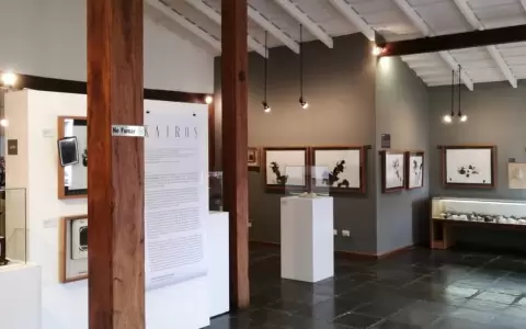 Hoy abre "Kair�s", de Osvaldo Salerno, en Galer�a Matices