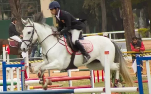 Club H�pico Paraguayo albergar� la sexta fecha de salto ecuestre