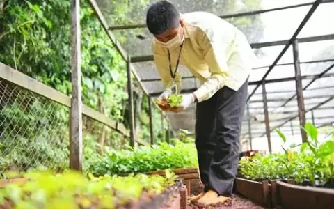 Indert entregar� plantines frutales a familias beneficiarias de la reforma agraria