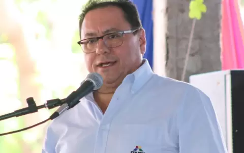ANR barajar� posibilidades para las presidenciales 2023, seg�n Alderete