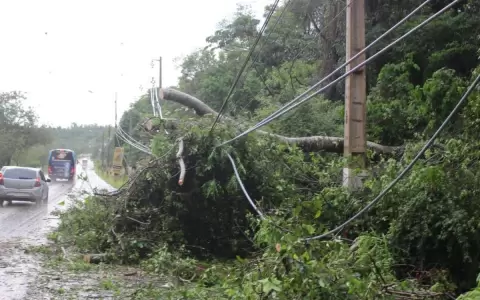 Temporal dej� sin energ�a el�ctrica a varias ciudades del pa�s