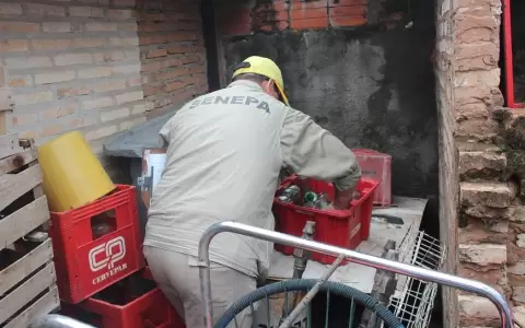 Infestaci�n larvaria: Piden no cerrar las puertas a funcionarios de Senepa