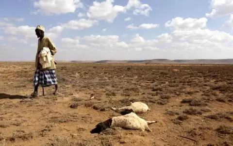 El cambio clim�tico amenaza la supervivencia de millones de africanos