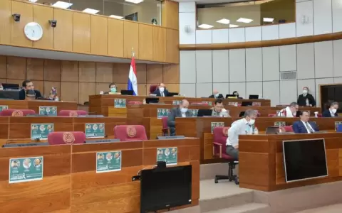 Financiamiento pol�tico de Ch�vez a Lugo: Senado convoca a titular de Seprelad y fiscal general