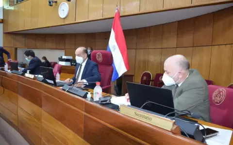 Senado posterga creaci�n de fondos Covid y proyecto de seguro de desempleo