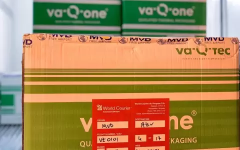Llegaron las 30.000 vacunas donadas por la Conmebol