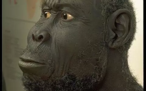 5 especies de humanos que han existido y que quiz�s no conoc�as