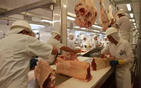 �Vamos a anunciar el descenso del precio de la carne�, asegur� viceministro de Comercio