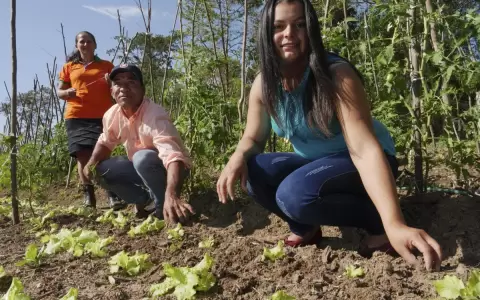 Nace ARA, para valorizar la agricultura familiar paraguaya