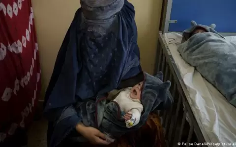 Talibanes reparten toneladas de trigo para combatir el hambre en Afganist�n