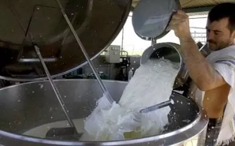 Precio de l�cteos no se ver� muy afectado por suba de combustibles