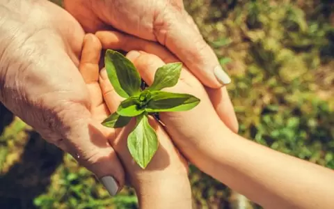 La pandemia agudiz� sentido de responsabilidad ambiental y social de consumidores