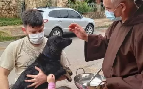 En el d�a de San Francisco bendicen a mascotas