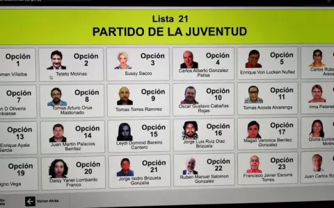 Artistas no son candidatos pero est�n en lista del Partido de la Juventud
