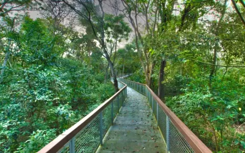Nuevas obras del Refugio Biol�gico Mbaracay� se erigieron con criterios sostenibles