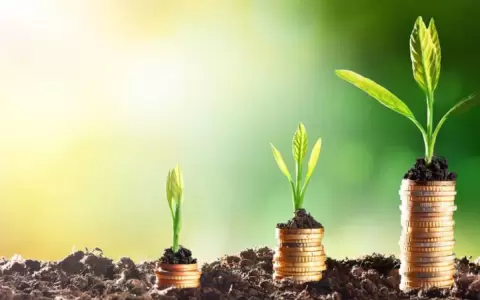 Empresas locales se capacitan para mejorar comunicaci�n de productos sostenibles