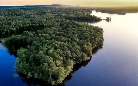 COP26: Brasil llega como villano y en busca de cr�ditos para preservar la Amazonia