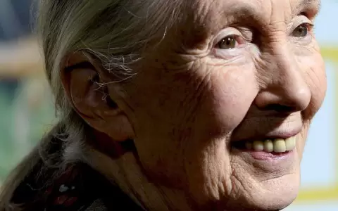Por qu� Jane Goodall cree que a�n hay esperanza ante el cambio clim�tico