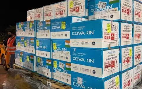 Llegaron al pa�s 400 mil dosis de la vacuna Covaxin