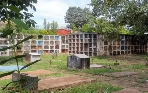 Cierran cementerio de Concepci�n por invasi�n de abejas