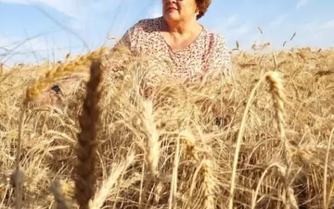 Claudia Russer: "Los colorados estamos esperando un tercer frente serio"