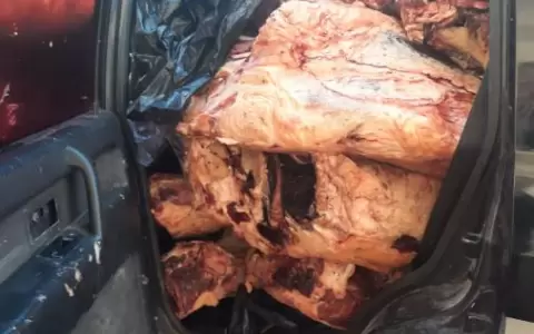 Dos toneladas de carne de contrabando incautan en Puerto Falc�n